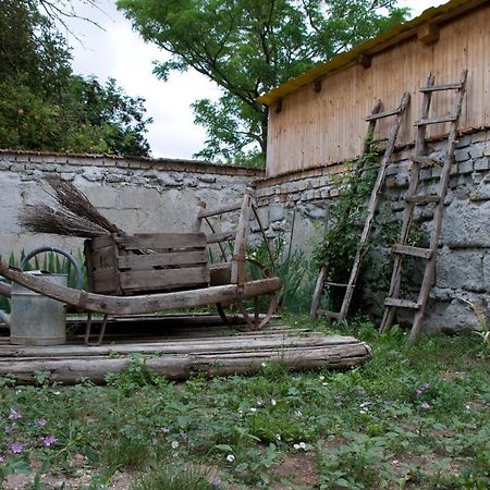 Notas Tuecsoek Vendeghaz Apartment Agyagosszergeny Bagian luar foto