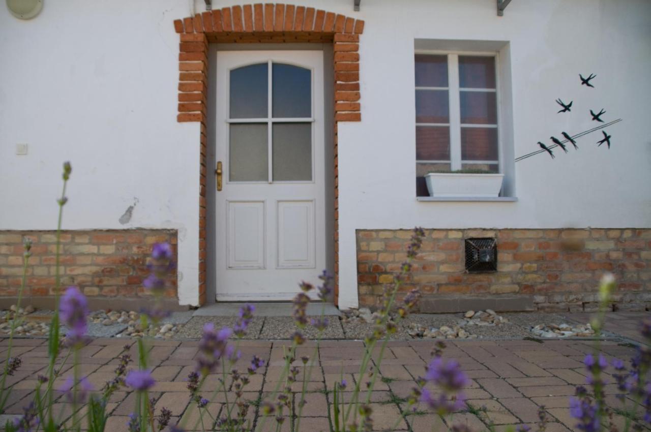 Notas Tuecsoek Vendeghaz Apartment Agyagosszergeny Bagian luar foto